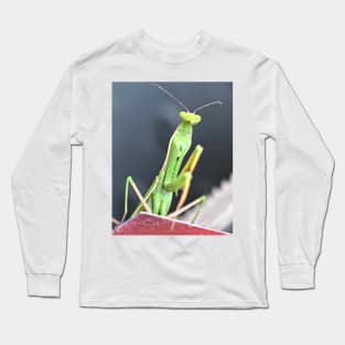 Praying Mantis Macro Photo Long Sleeve T-Shirt